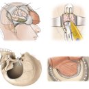 바른메디컬 이미지