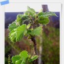 개암농장 이미지