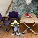 몽그라니 이미지