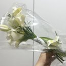 💐 웨딩촬영 조화 부케 추천ㅣ생화 VS. 조화, 뭐가 더 좋을까? (피치벨라·당근마켓 후기)