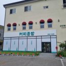 강릉커피콩빵강릉당초당점