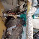 천등박달로 이미지