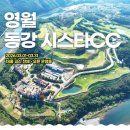 동강시스타 이미지