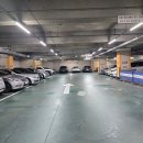 [경기 고양시] 일산펌포인트 캐리랩에서 1:1눈매맞춤속눈썹뷰티 후기