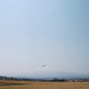 대조1리 Daum카페