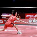 타이시즌 이미지