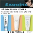 아산인셀덤