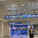 인천공항 제1 여객터미널 맛집 한식 소담길