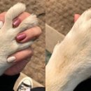 깍지 이미지