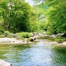 경기도 가평 여름 피서지 총정리, 가평 계곡·수상레저·감성숙소까지!