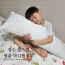 장수 쿨스킨 냉감 바디필로우로 시원하게 여름나기