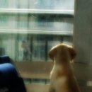 이 가축병원 이미지