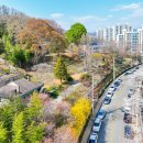 매산 이미지