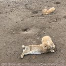 혜리네농수산
