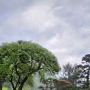 더좋은정원