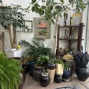 나래뷰티헤어 이미지