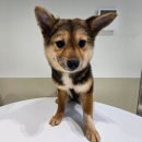 토실 토실 이미지