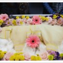 복실이 PC 이미지