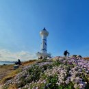 동해의 해국(울산 대왕암) 이미지