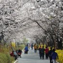 장안1제방 이미지