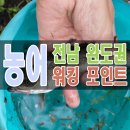 조약도식당민박 | 전남 완도권(완도,신지도,고금도,조약도) 도보 워킹 루어 원투 농어낚시 잘잡히는 포인트