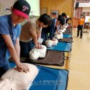 신서초교 이미지