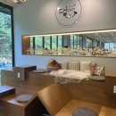 광릉내 애견 이미지