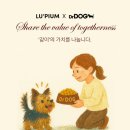 닥터펫푸드 이미지