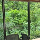 곡성 섬진강 기차마을 펜션 | 🌿 곡성 섬진강 기차마을 펜션 후기 | 자연 속 감성 숙소에서의 하룻밤