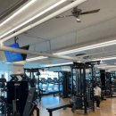 피트니스100 PT 이미지