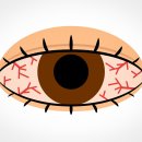 오르소한의원 이미지