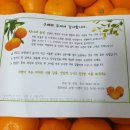 탁이농장 이미지