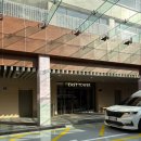 델피노 I 이미지