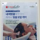 다헤어 이미지
