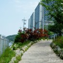 수영교 이미지