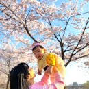 오송읍 행정복지센터 | 청주 오송 호수공원 벚꽃 나들이 🌸 주차 꿀팁 + 포토존 총정리