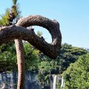 정방폭포 이미지