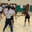 선기로2-11 Daum카페
