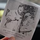 난산리-9 | 제주 동쪽 감성 브런치 카페 성산 난산리다방 솔직 후기(애견동반 가능, 가족단위 추천)