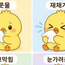 새솔포도약국 네이버블로그