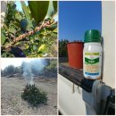 신흥2농장 이미지