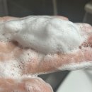 영플러스할인마트 | 올리브영단백질샴푸 추천 박준뷰티랩 LPP 단백질 샴푸 플러스 1000ml 가격 구매처 솔직후기