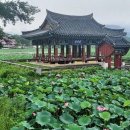 유등연지 이미지