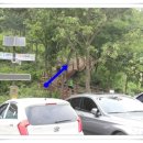 생동목장 이미지