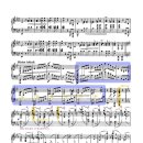 비바체 | 19기 작은 연주회 기록