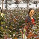 장미산업 이미지