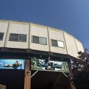 애니멀하우스 | 에버랜드 주토피아 공연 후기 – 씨라이언빌리지 &amp; 슈퍼윙스 애니멀톡