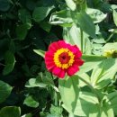 동성오토밋션 이미지