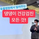 솜솜 애견미용 | 본펫동물병원 건강검진 세미나 후기!