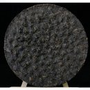 금    병 이미지